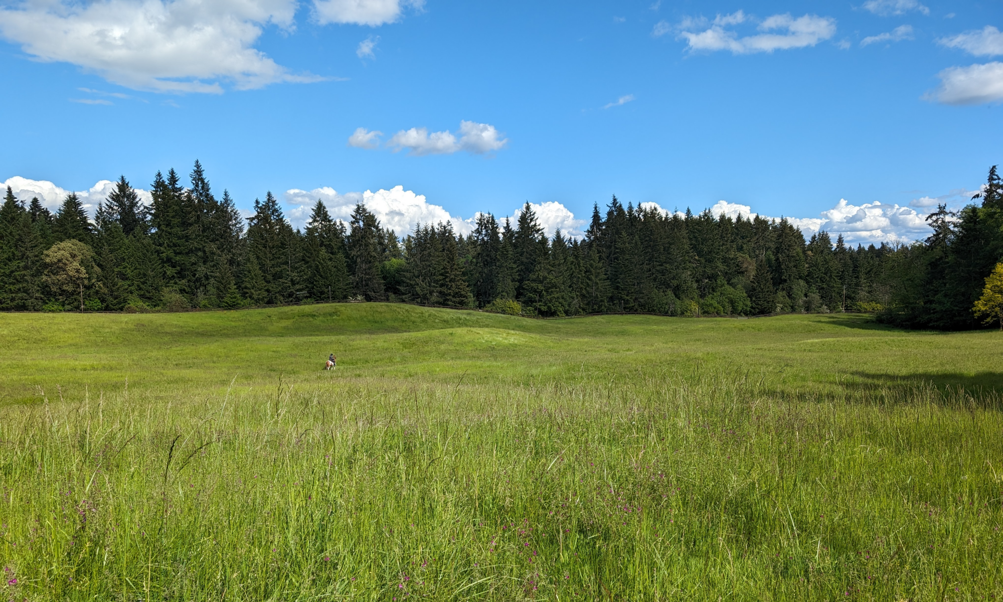 Ernst Pasture at Old Mill Park